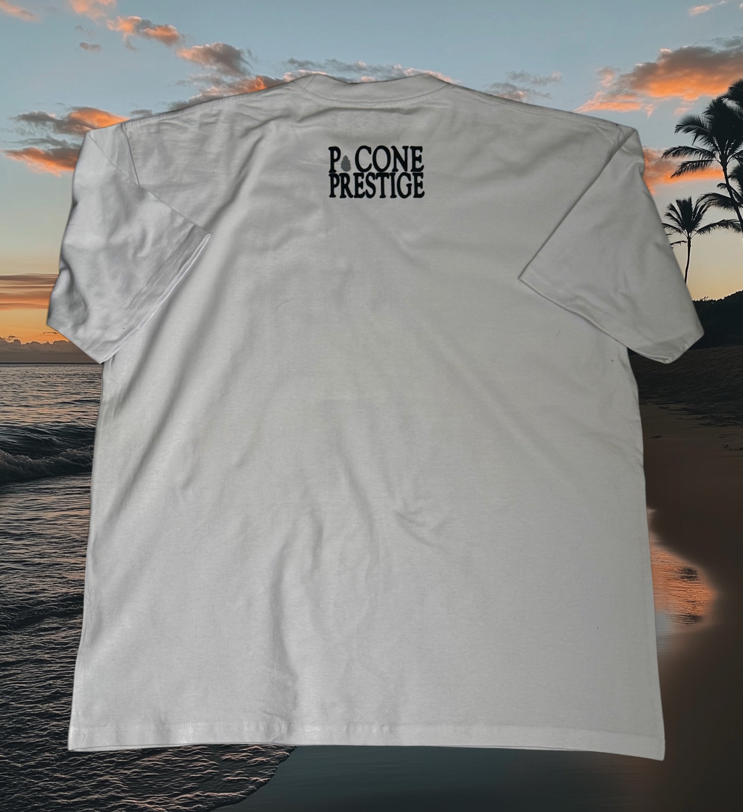 P. CONE PRESTIGE T-SHIRT (GRY N BLK) ON YT